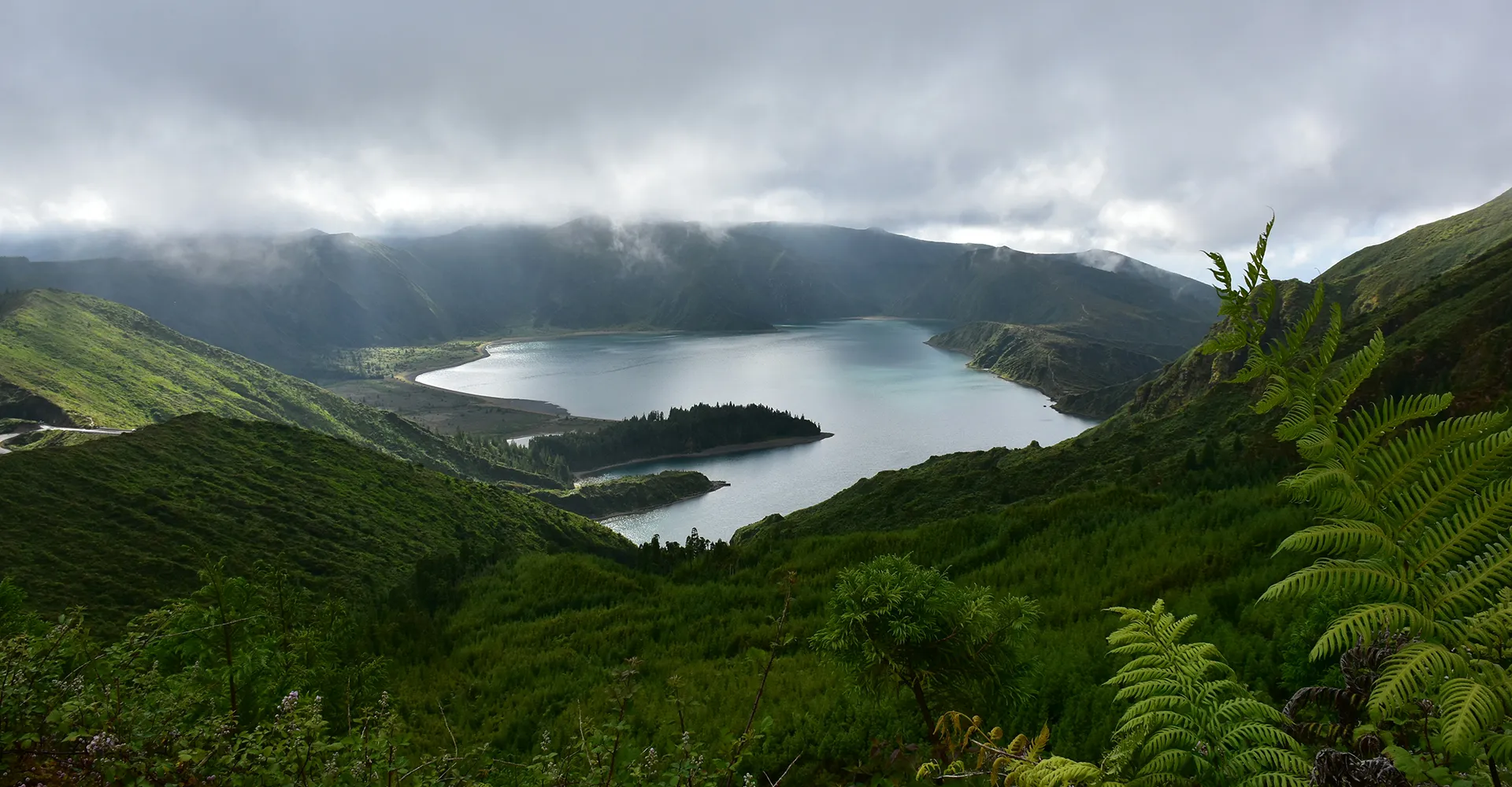 Lake surrounded by greenery